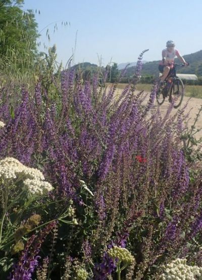 Emma and David Smart Cycling on the  tour with redspokes